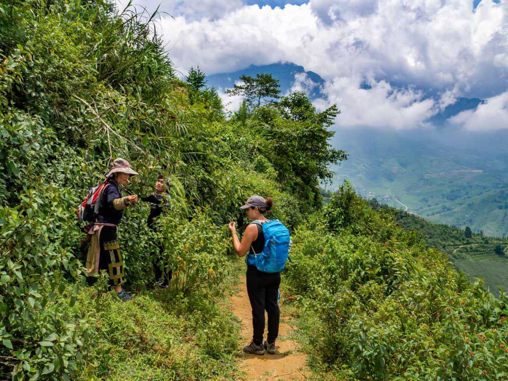 Difficulty Levels Of Hiking In Vietnam & Rating The Routes